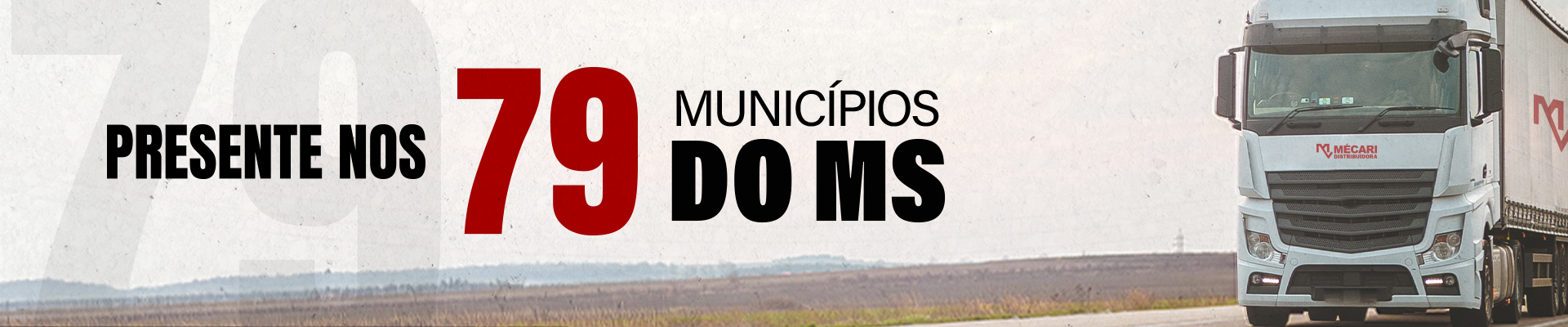 Banner - 79 municipios 